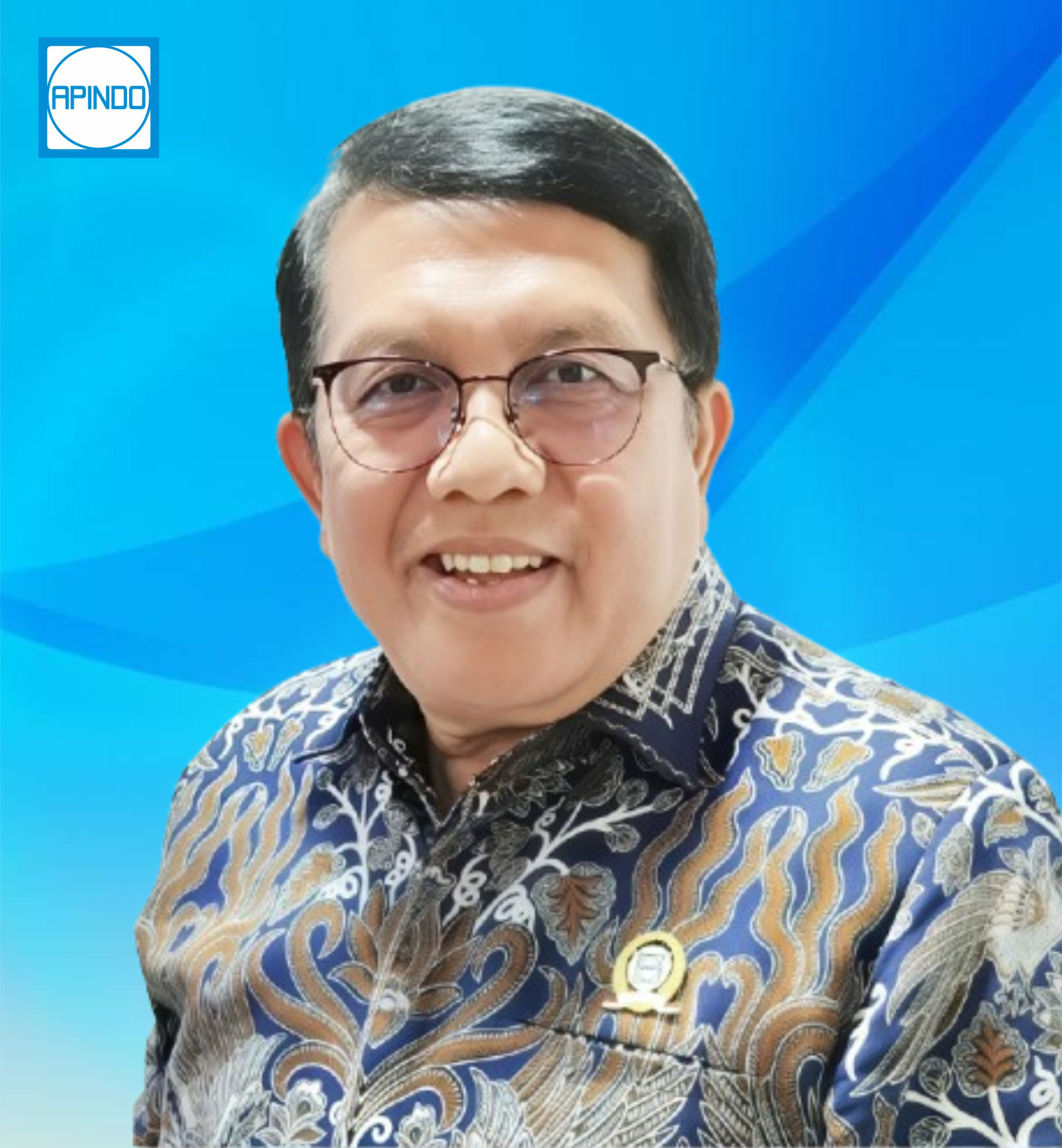 Ir. Supari Abdul Hayi